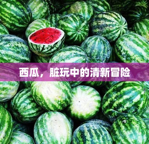 西瓜，夏日里的清新冒險(xiǎn)