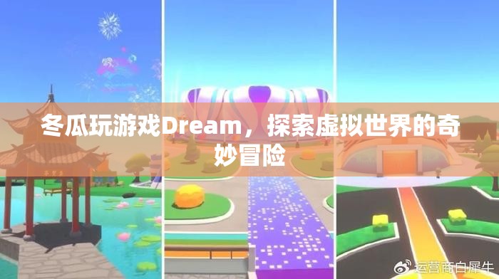 冬瓜探索Dream虛擬世界，奇妙冒險之旅  第3張