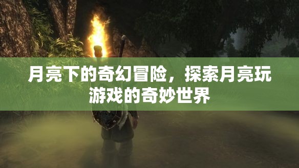 月亮下的奇幻冒險(xiǎn)，探索月亮玩游戲的奇妙世界  第3張