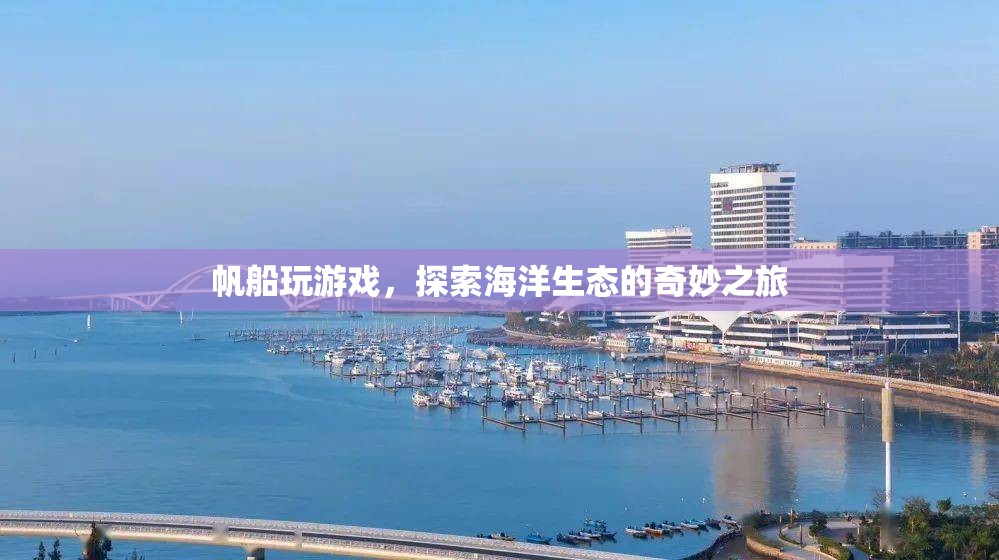 帆船游戲，探索海洋生態(tài)的奇妙之旅  第1張