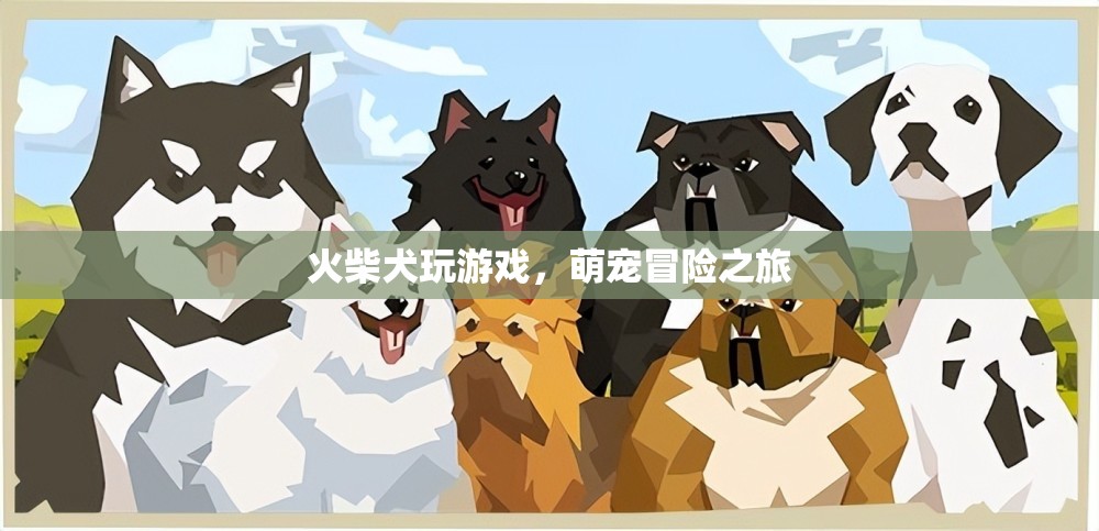 萌寵冒險(xiǎn)記，火柴犬的趣味游戲之旅