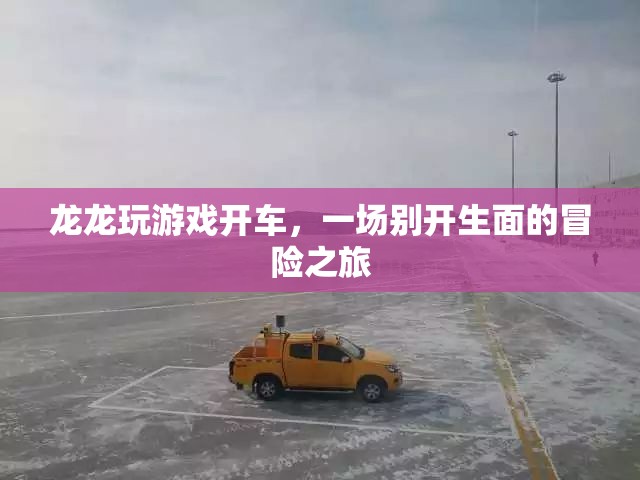 龍龍的游戲開車冒險之旅  第2張