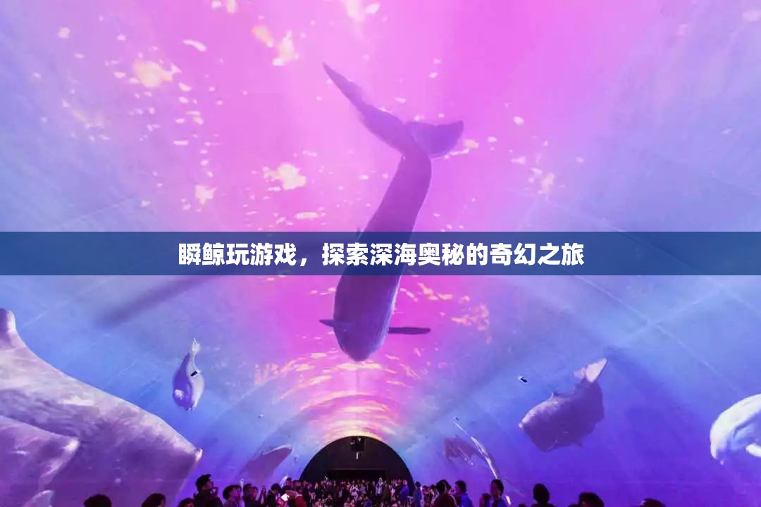 瞬鯨玩游戲，深海奧秘的奇幻之旅