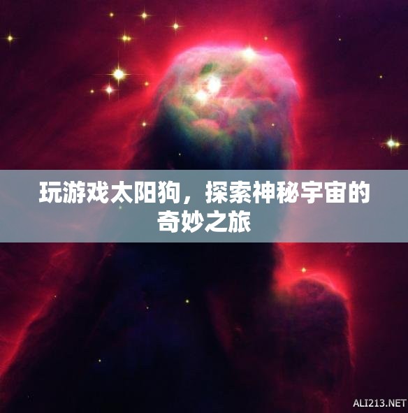 太陽狗，探索神秘宇宙的奇妙之旅  第3張