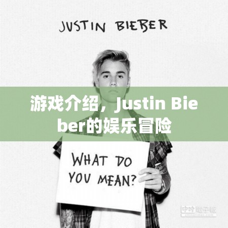 Justin Bieber的娛樂冒險，游戲介紹  第2張