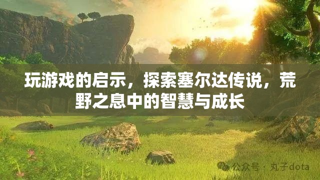 塞爾達(dá)傳說(shuō)，荒野之息中的智慧與成長(zhǎng)啟示  第3張