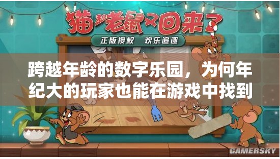 跨越年齡的數(shù)字樂園，揭秘年長玩家游戲樂趣的奧秘  第1張