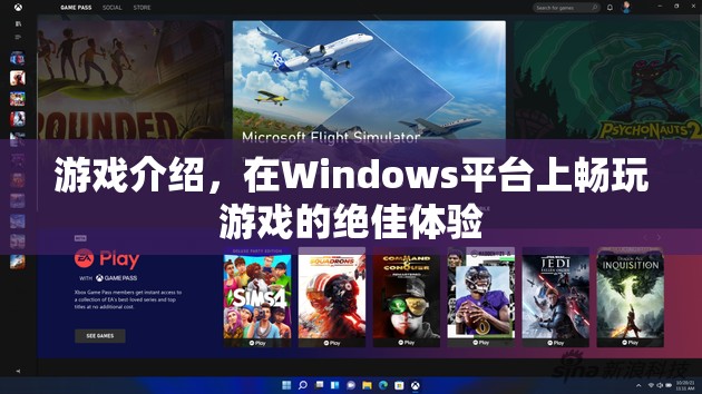 在Windows平臺(tái)上暢玩游戲的絕佳體驗(yàn)  第3張