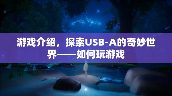 探索USB-A的奇妙世界，游戲指南