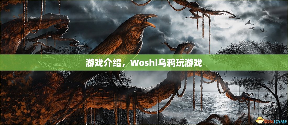 Woshi烏鴉游戲，探索神秘世界的冒險(xiǎn)之旅