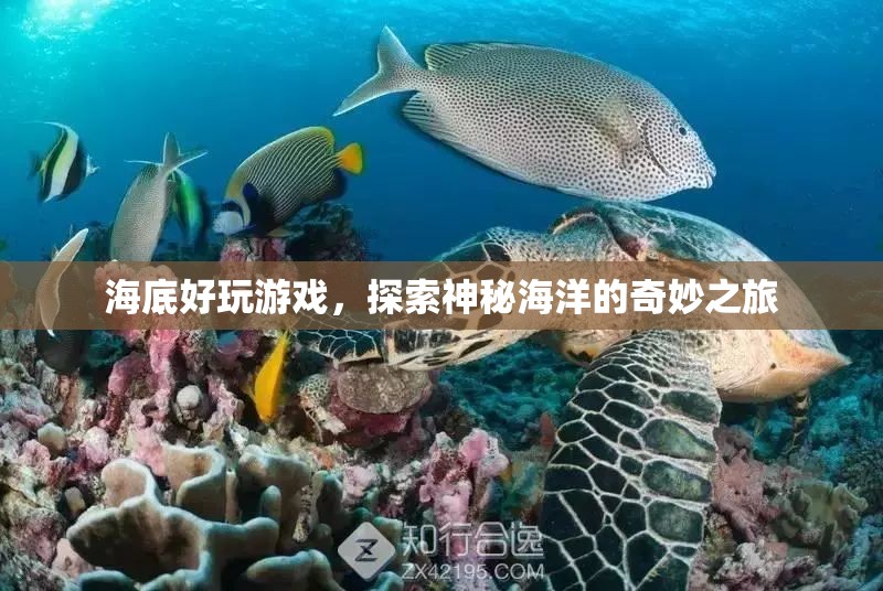 探索神秘海洋，海底好玩游戲的奇妙之旅