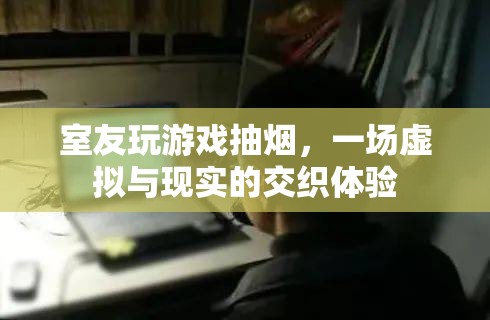 室友沉迷游戲抽煙，虛擬與現(xiàn)實交織下的生活體驗