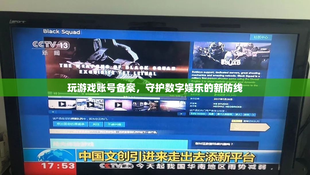 游戲賬號備案，守護數(shù)字娛樂的新防線