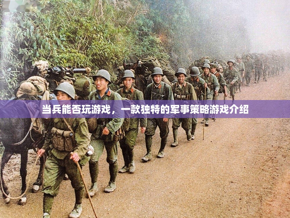 當(dāng)兵能否玩游戲軍事策略游戲介紹  第3張