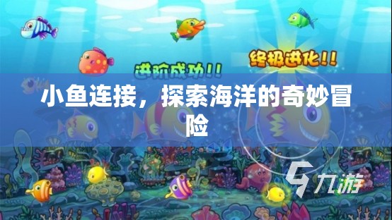 探索海洋的奇妙冒險，小魚連接之旅  第2張