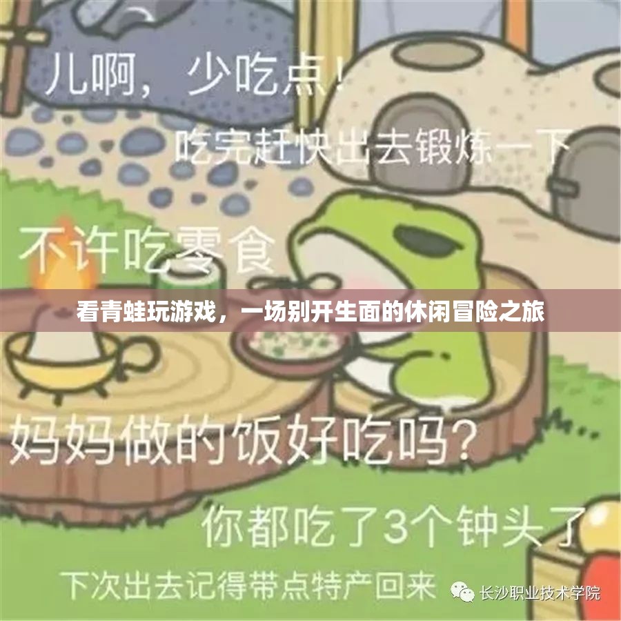 青蛙休閑冒險(xiǎn)之旅，看青蛙玩游戲  第2張