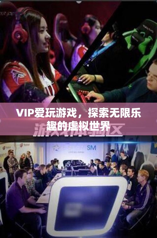 VIP探索虛擬世界，盡享無限樂趣