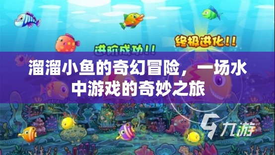 溜溜小魚的奇幻冒險(xiǎn)，水中游戲的奇妙之旅  第1張