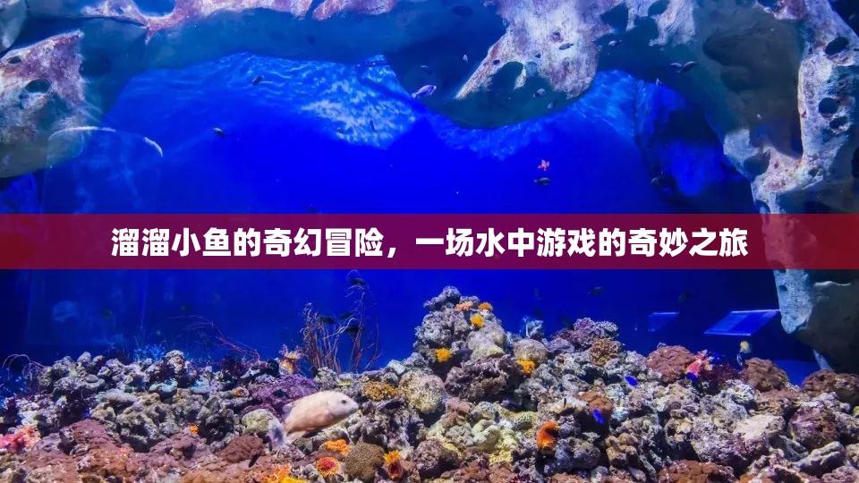 溜溜小魚的奇幻冒險(xiǎn)，水中游戲的奇妙之旅  第3張