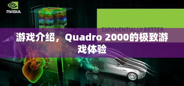 Quadro 2000，極致游戲體驗震撼來襲  第3張