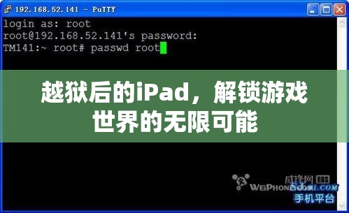 越獄iPad解鎖游戲世界無限可能  第3張