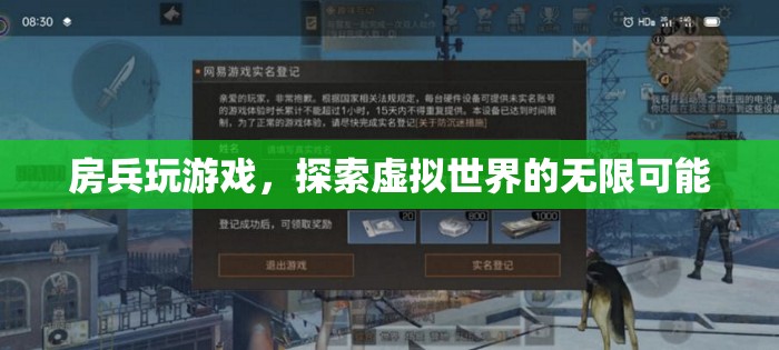 房兵探索虛擬世界的無限可能  第3張