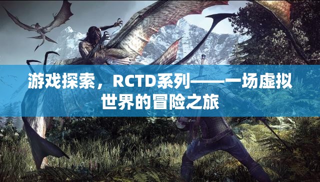 RCTD系列，虛擬世界的冒險之旅  第3張