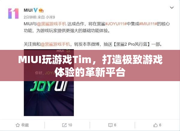 MIUI推出全新游戲平臺Tim，打造極致游戲體驗  第2張