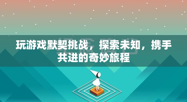 探索默契之旅，攜手共進(jìn)的奇妙游戲挑戰(zhàn)  第1張