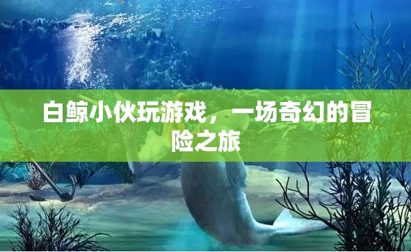 白鯨小伙的奇幻冒險之旅  第2張