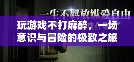 不打麻醉玩游戲，一場(chǎng)意識(shí)與冒險(xiǎn)的極致之旅  第3張