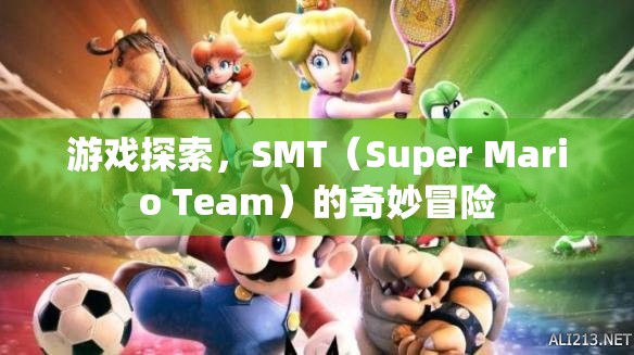 SMT（Super Mario Team）奇妙冒險，游戲探索之旅  第3張