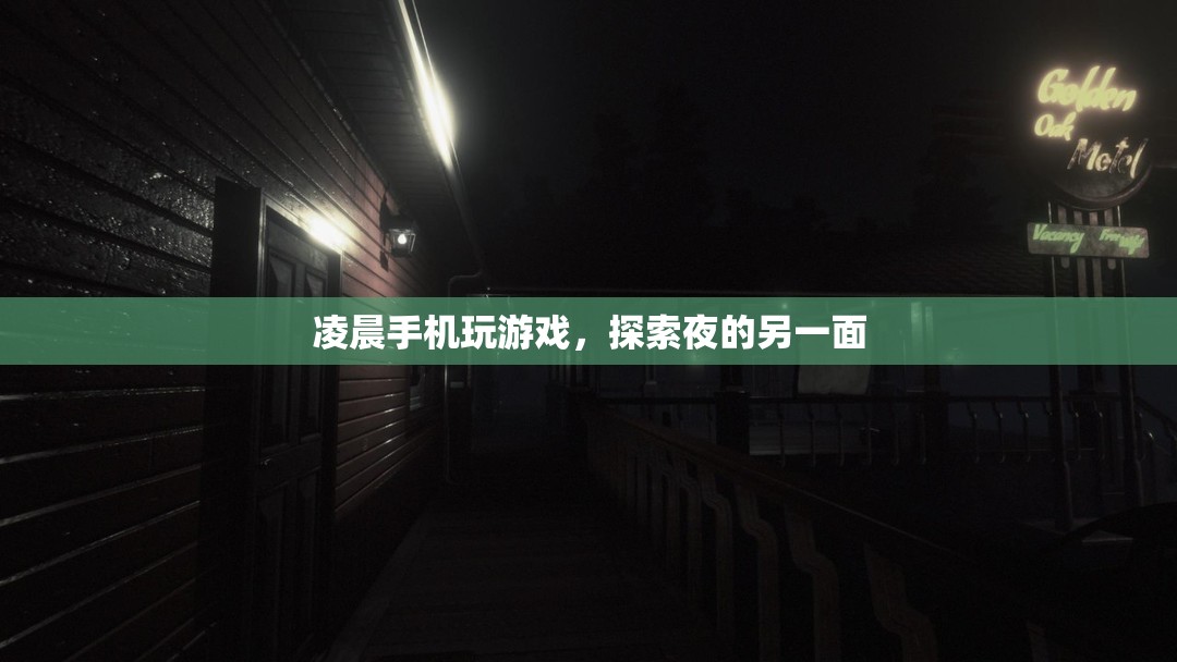 凌晨手機(jī)游戲的奇妙夜世界  第1張