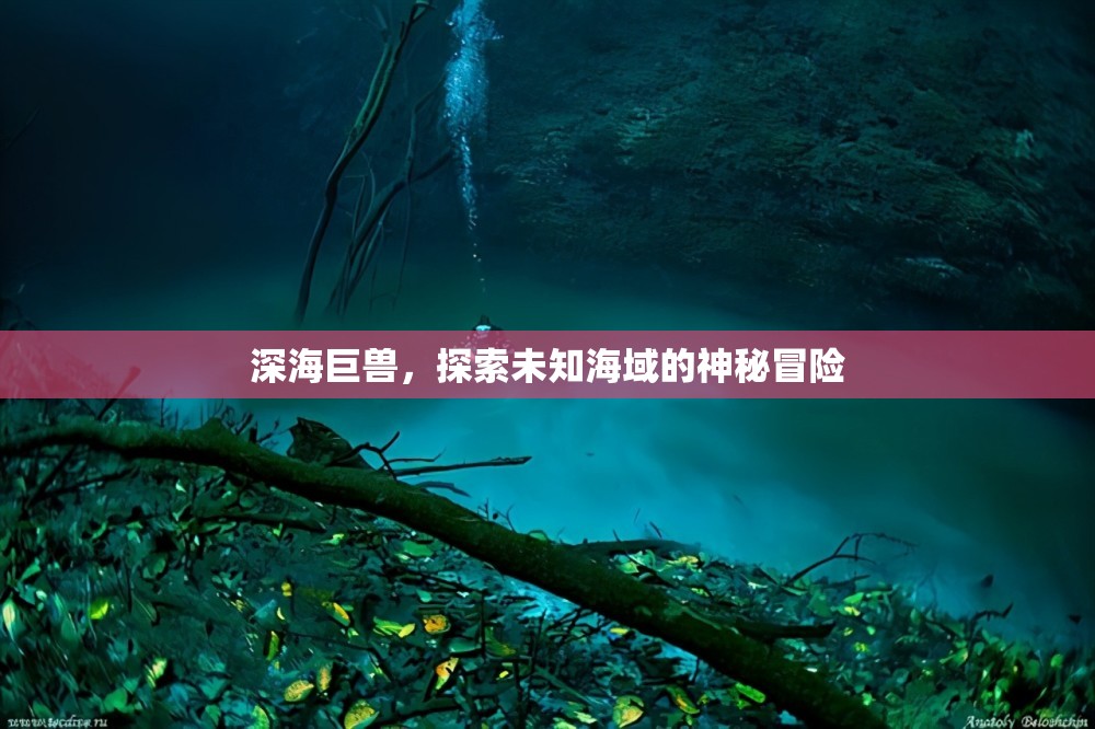 深海巨獸，探索未知海域的神秘冒險(xiǎn)  第1張