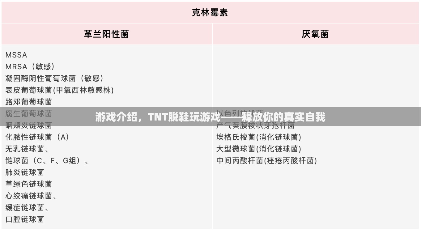 TNT脫鞋玩游戲，釋放真實(shí)自我  第2張