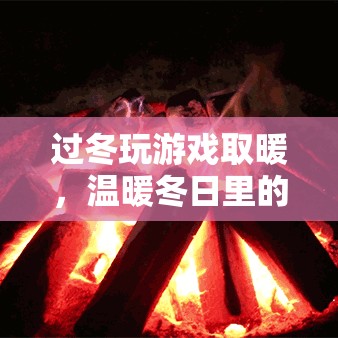 冬日游戲，虛擬篝火，溫暖你的冬日時(shí)光  第2張