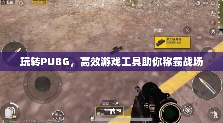 玩轉(zhuǎn)PUBG，高效工具助你稱霸戰(zhàn)場  第2張