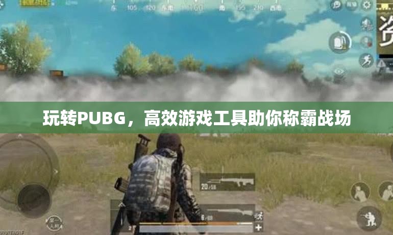 玩轉(zhuǎn)PUBG，高效工具助你稱霸戰(zhàn)場  第3張