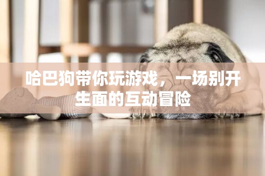 哈巴狗帶你開啟互動冒險之旅  第3張