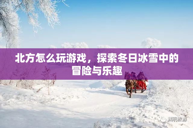 冬日冰雪冒險，北方游戲探索之旅  第3張