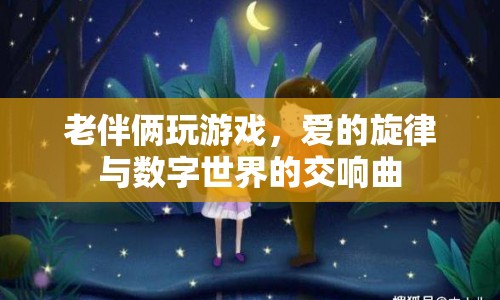 愛的旋律，數(shù)字世界中的老伴倆游戲交響曲