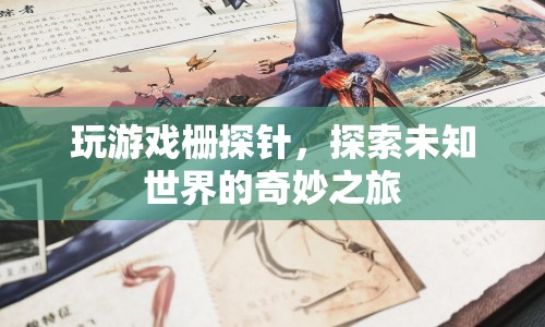 探索未知世界的奇妙之旅，玩游戲柵探針  第1張