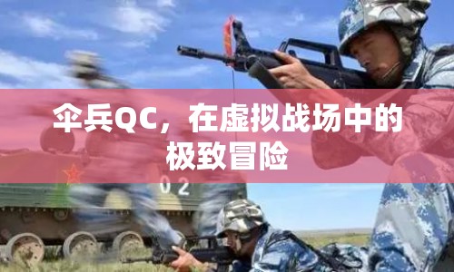 傘兵QC，虛擬戰(zhàn)場中的極致冒險之旅  第1張