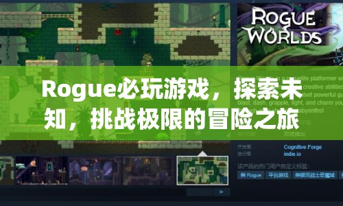 Rogue，探索未知，挑戰(zhàn)極限的冒險之旅  第1張