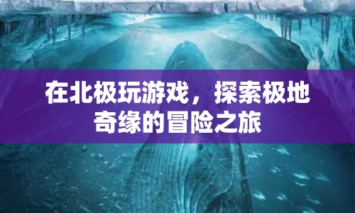 探索極地奇緣，北極冒險之旅