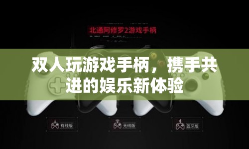 雙人攜手共進的娛樂新體驗，游戲手柄開啟全新游戲體驗