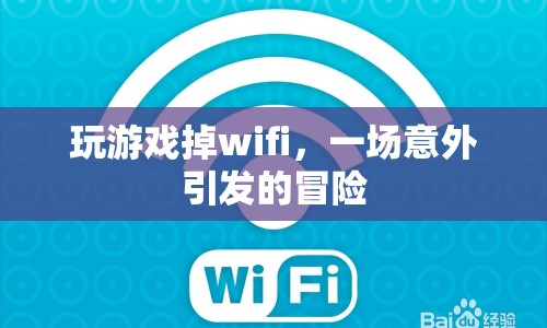 一場意外引發(fā)的冒險(xiǎn)，玩游戲掉wifi  第1張