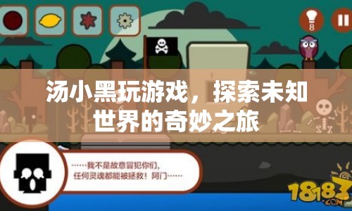 湯小黑，探索未知世界的奇妙之旅  第1張