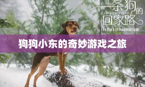 狗狗小東的奇妙冒險(xiǎn)之旅  第1張