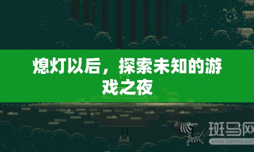 熄燈以后，探索未知的游戲之夜  第1張